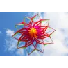 Kit en forme de fleur 3D avec poignée et ligne - 150 cm de diamètre